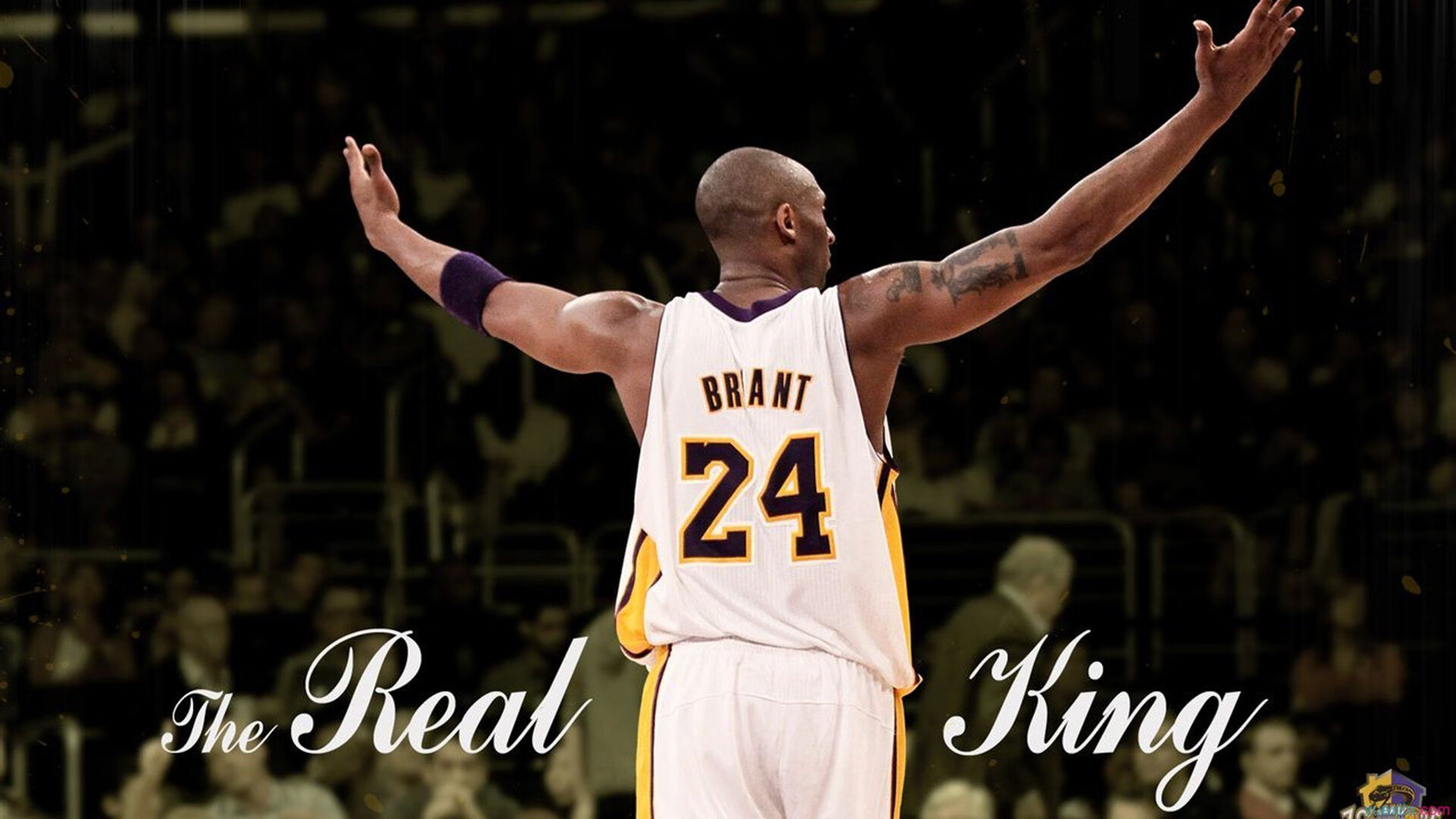 中国篮球的光芒正被点燃，篮球 中国