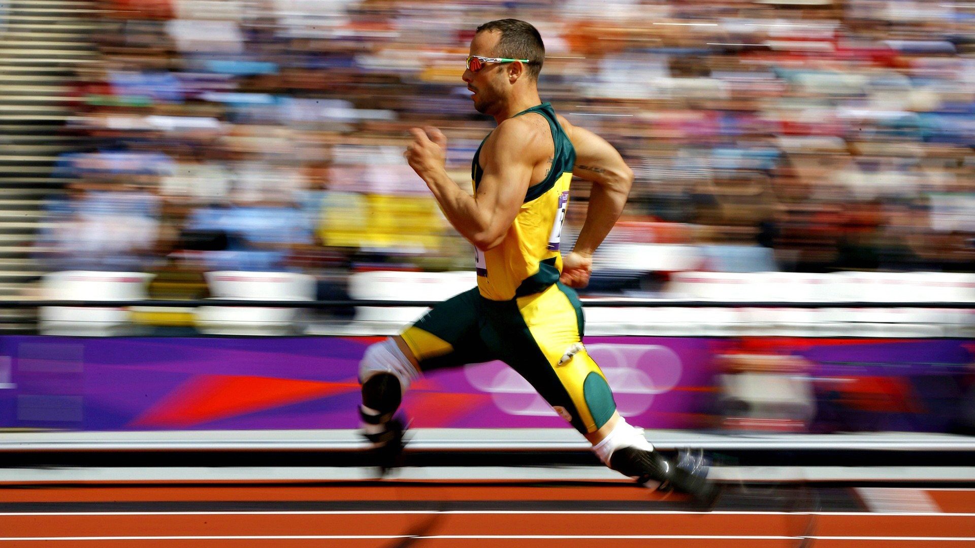 王楚钦对阵韩国名将表现冷静沉着,王楚钦19_0