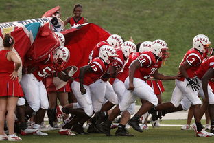 教练战术板数字化，赛前准备更具效率，的篮球教练战术板教程视频