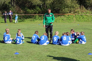 中国足球国家队临阵换帅后的战术适应期研究，国足选帅